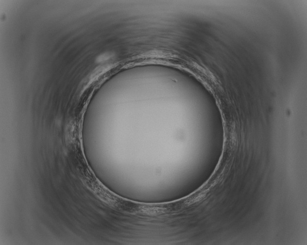 X0000086301258200704091012