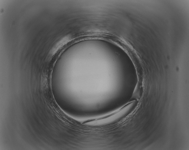 X0000086301259200704091012