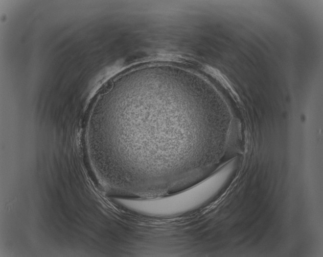 X0000086301260200704091012