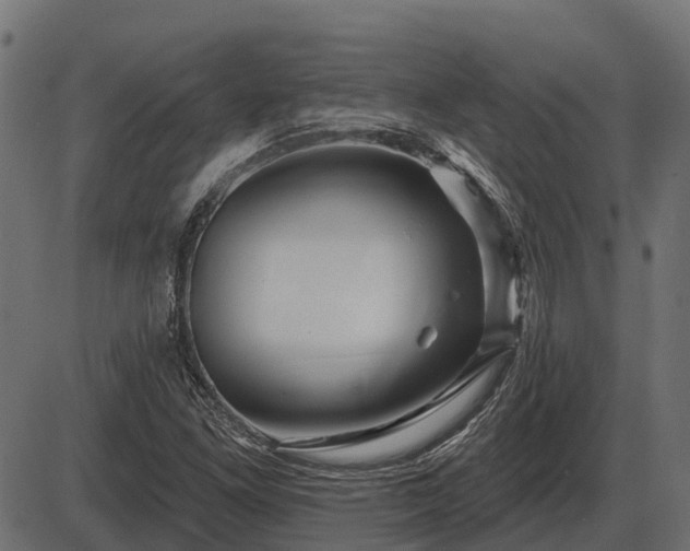 X0000086301261200704091012