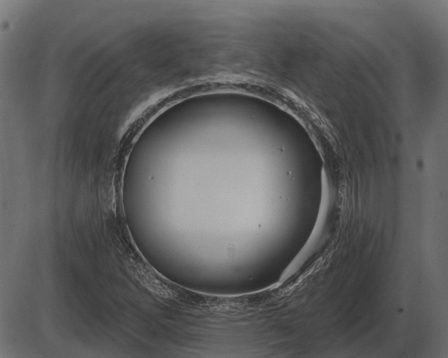 X0000086301262200704091012