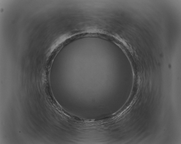 X0000086301263200704091012