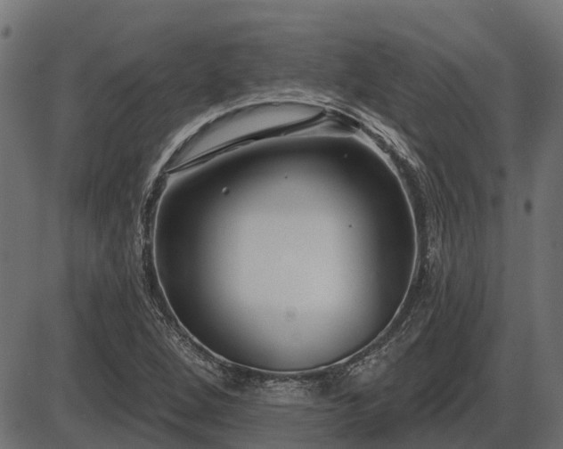 X0000086301264200704091012