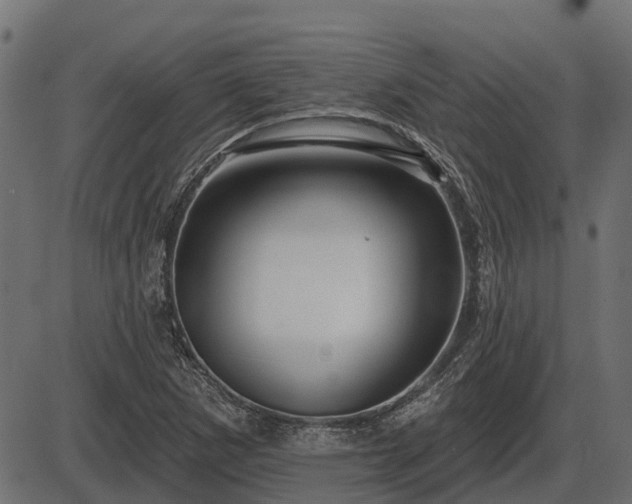 X0000086301265200704091012