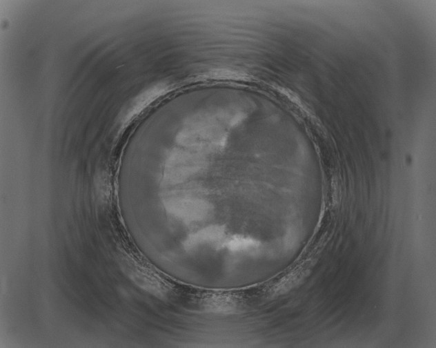 X0000086301266200704091012