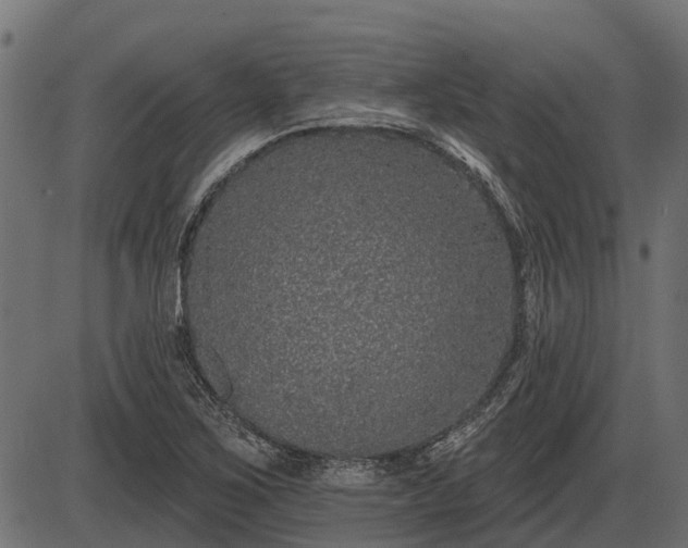 X0000086301267200704091012