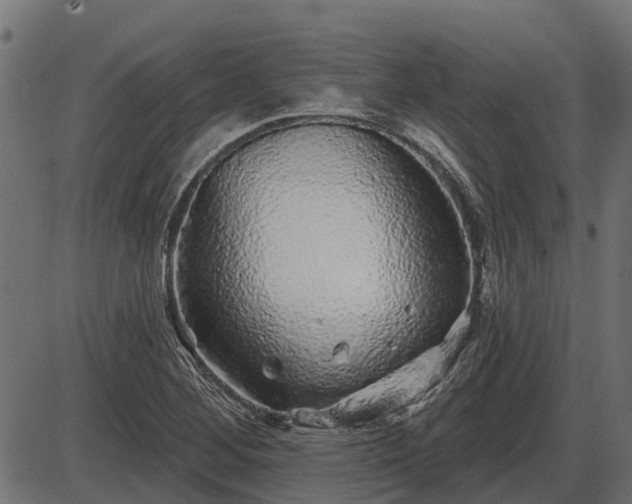 X0000086301268200704091012