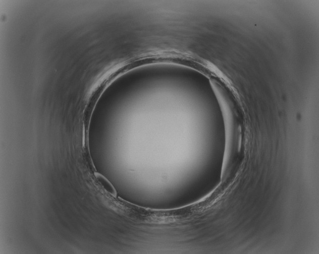 X0000086301269200704091012