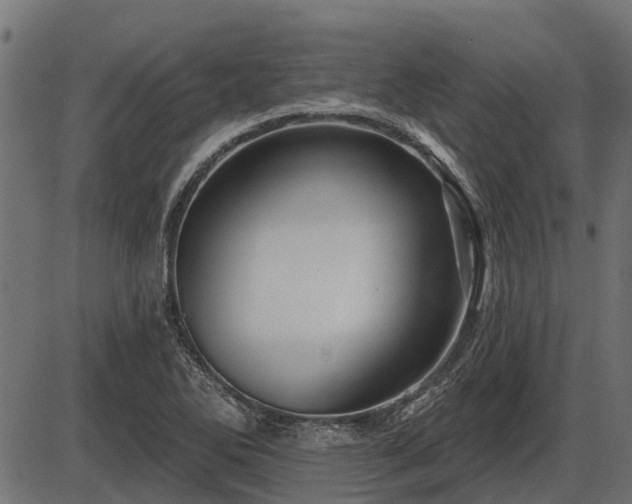 X0000086301270200704091012