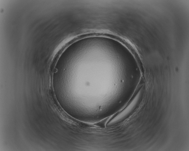 X0000086301271200704091012