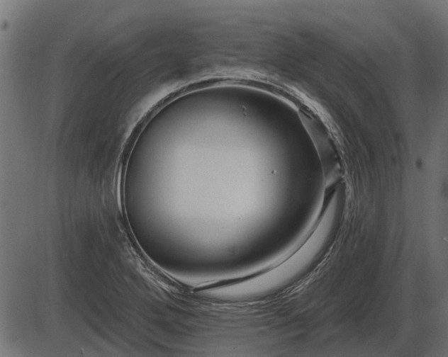 X0000086301272200704091012