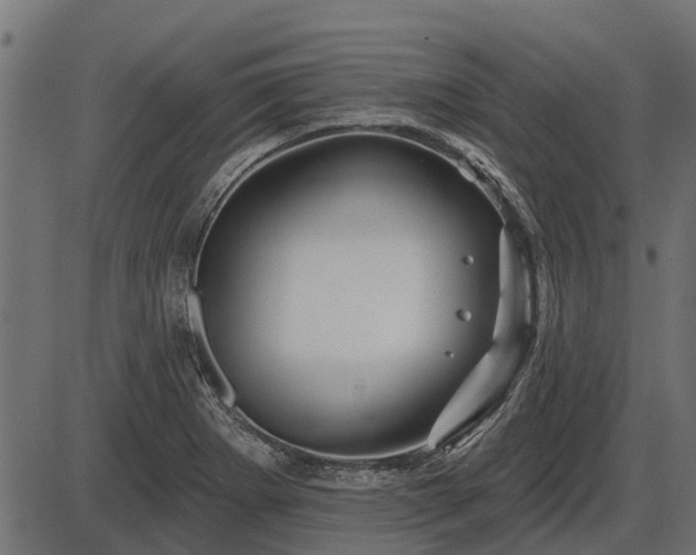 X0000086301273200704091012