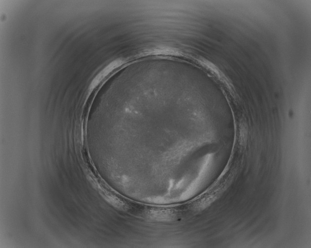 X0000086301274200704091012