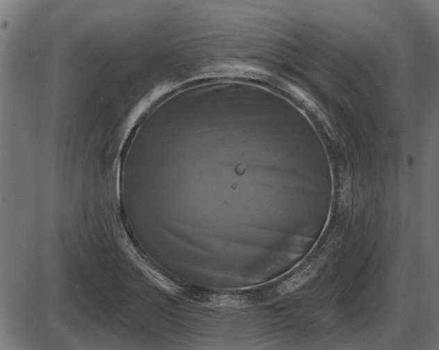 X0000086301275200704091012