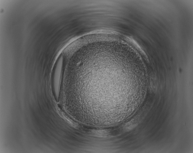 X0000086301276200704091012