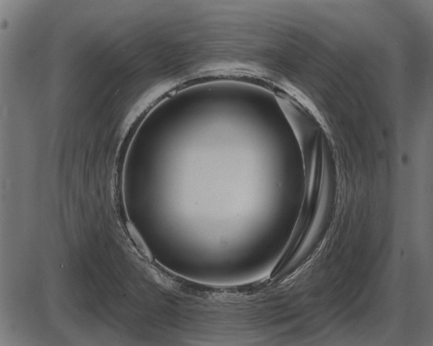 X0000086301277200704091012