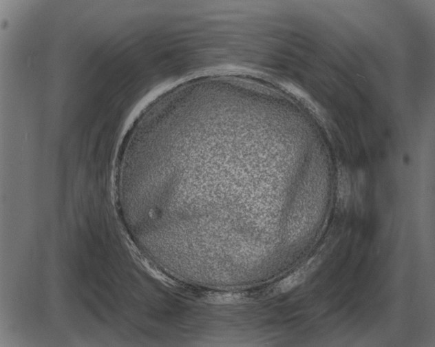 X0000086301278200704091012