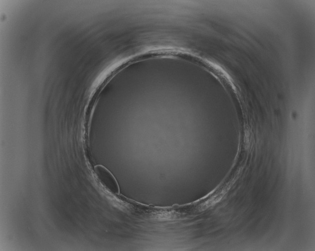 X0000086301279200704091012