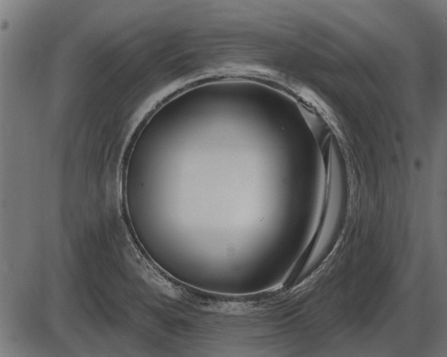 X0000086301280200704091012