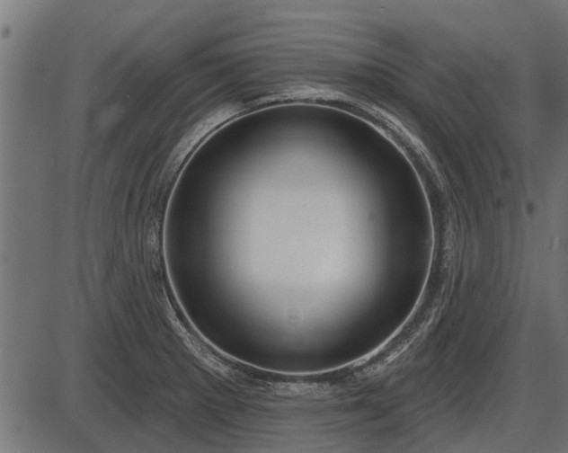 X0000086301281200704091012