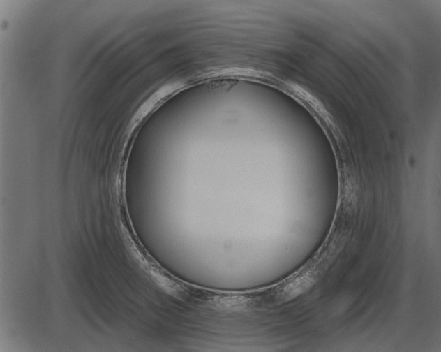 X0000086301282200704091012