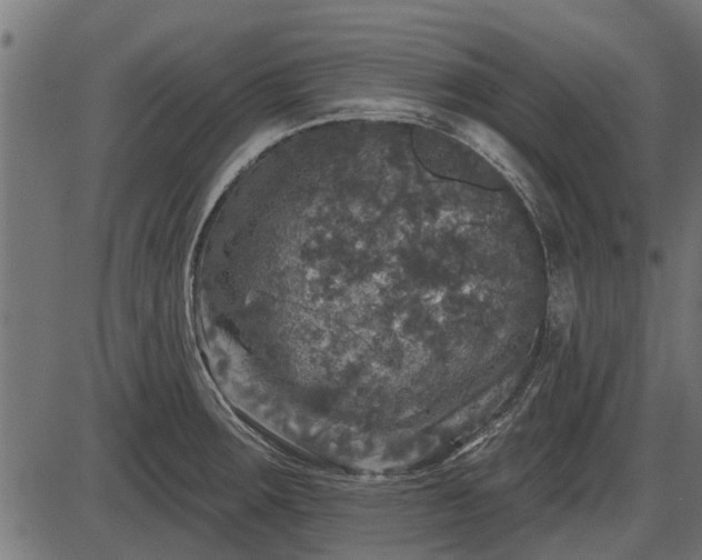 X0000086301283200704091012