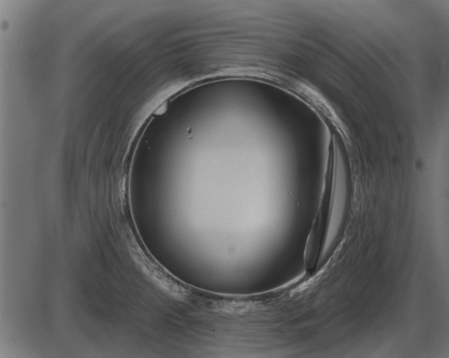 X0000086301284200704091012