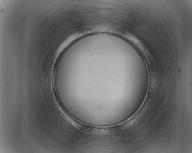 X0000086301286200704091012