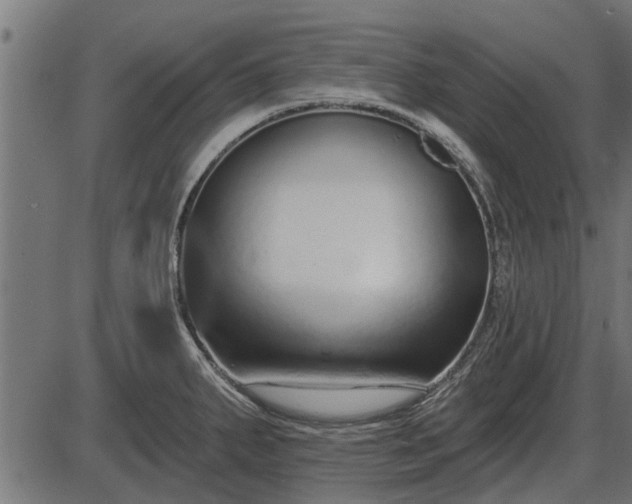 X0000086301287200704091012