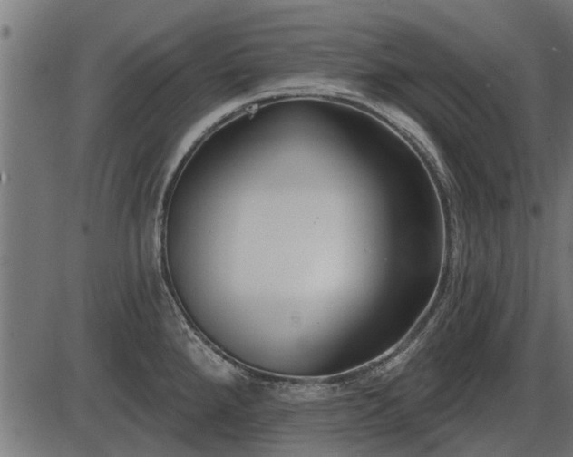 X0000086301288200704091012