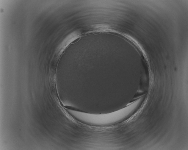 X0000086301289200704091012