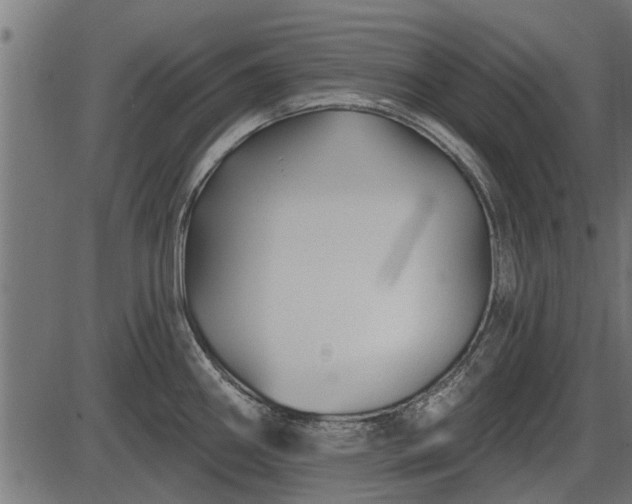 X0000086301290200704091012