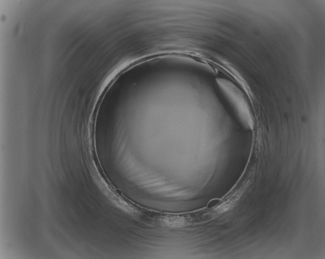 X0000086301291200704091012