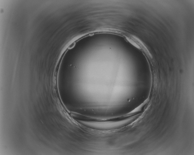 X0000086301292200704091011