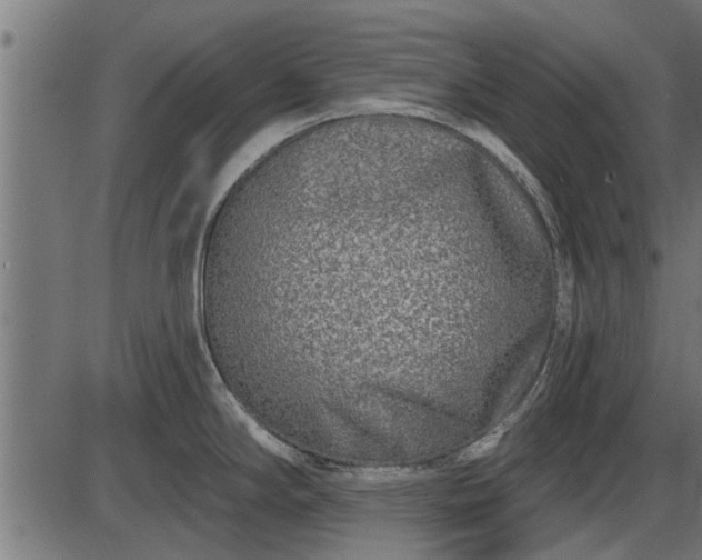 X0000086301294200704091011