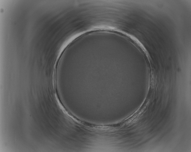 X0000086301295200704091011