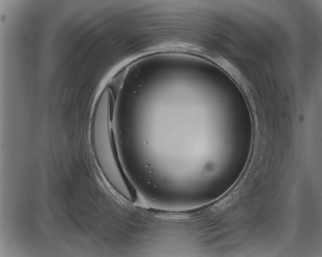 X0000086301296200704091011