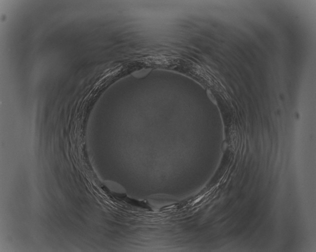 X0000086301297200704091011