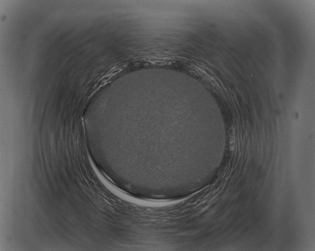 X0000086301298200704091011