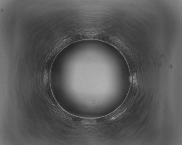 X0000086301299200704091011