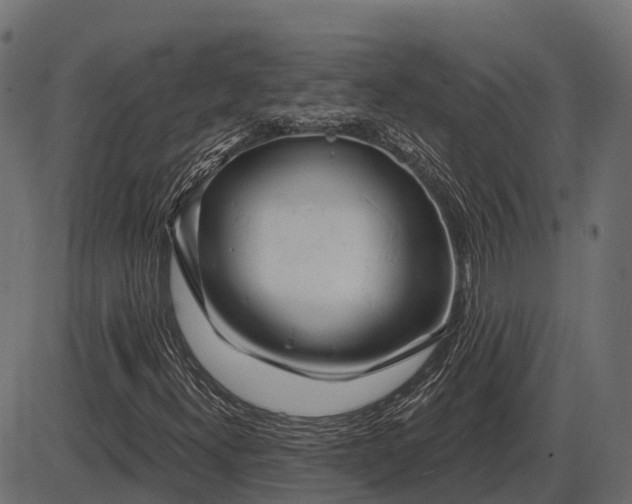 X0000086301300200704091011