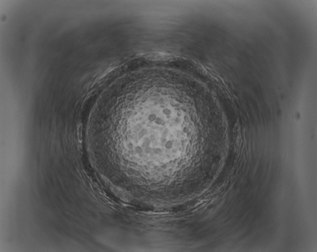 X0000086301301200704091011