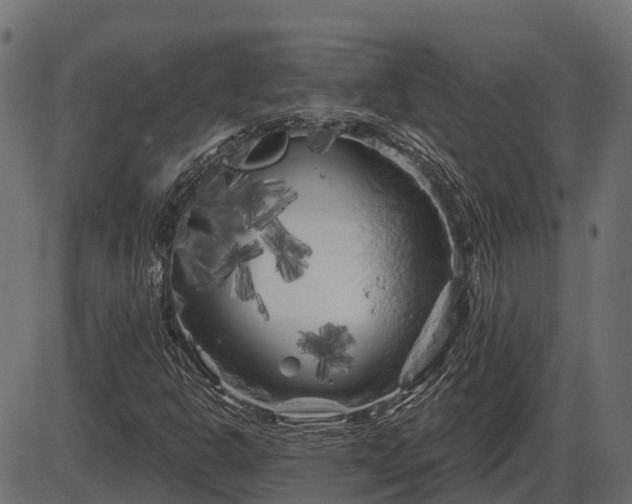 X0000086301302200704091011