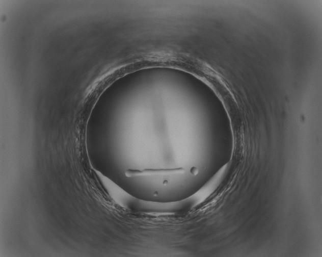 X0000086301304200704091011