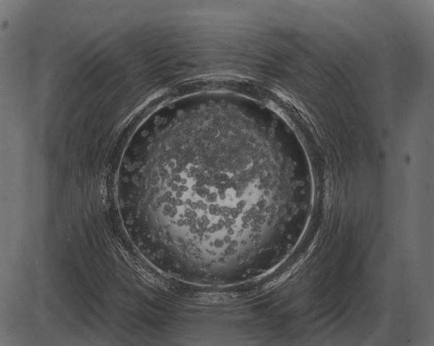 X0000086301305200704091011