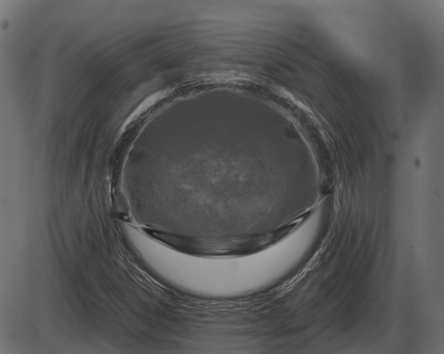 X0000086301306200704091011