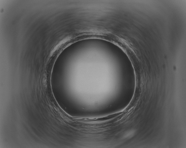 X0000086301307200704091011