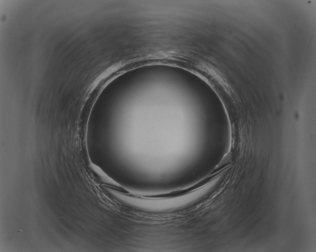 X0000086301308200704091011