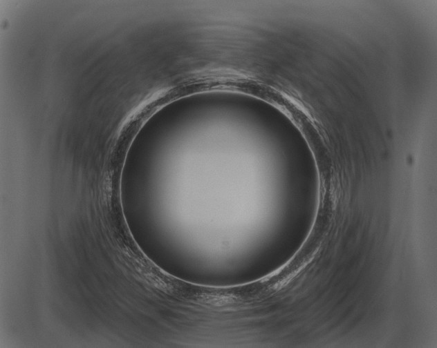 X0000086301309200704091011