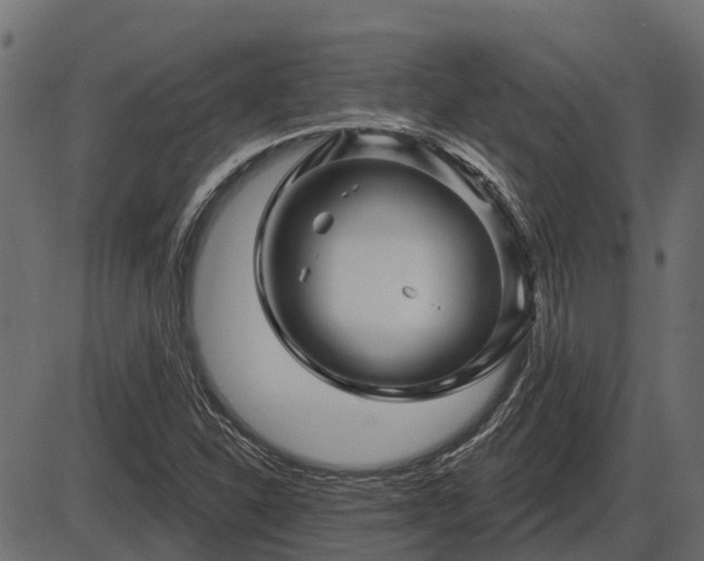 X0000086301310200704091011